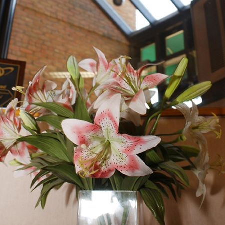 Meadow Court Inn - Ithaca Interior photo